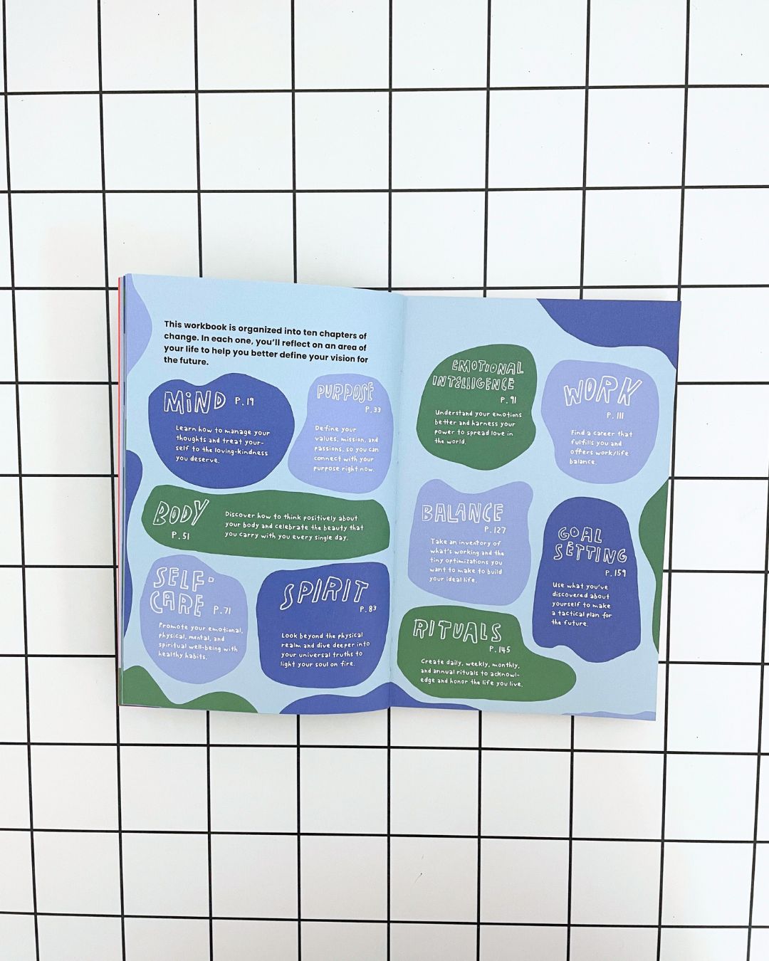 The Reset Workbook by Justin Shiels