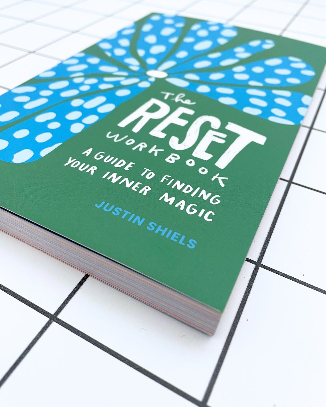 The Reset Workbook by Justin Shiels