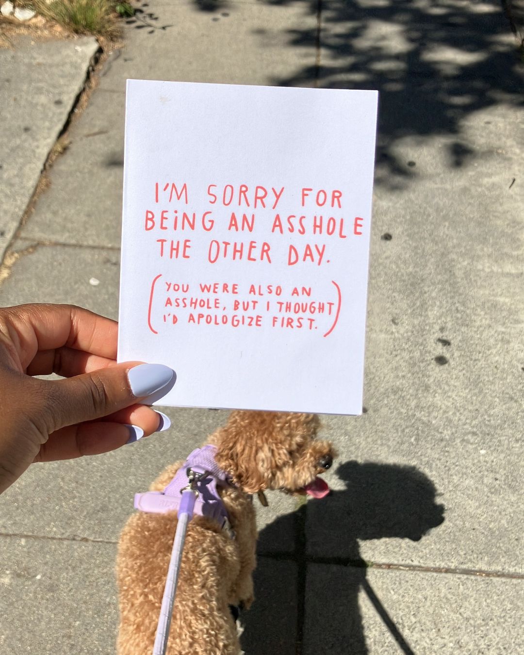 "I'm Sorry For Being an Asshole" Greeting Card