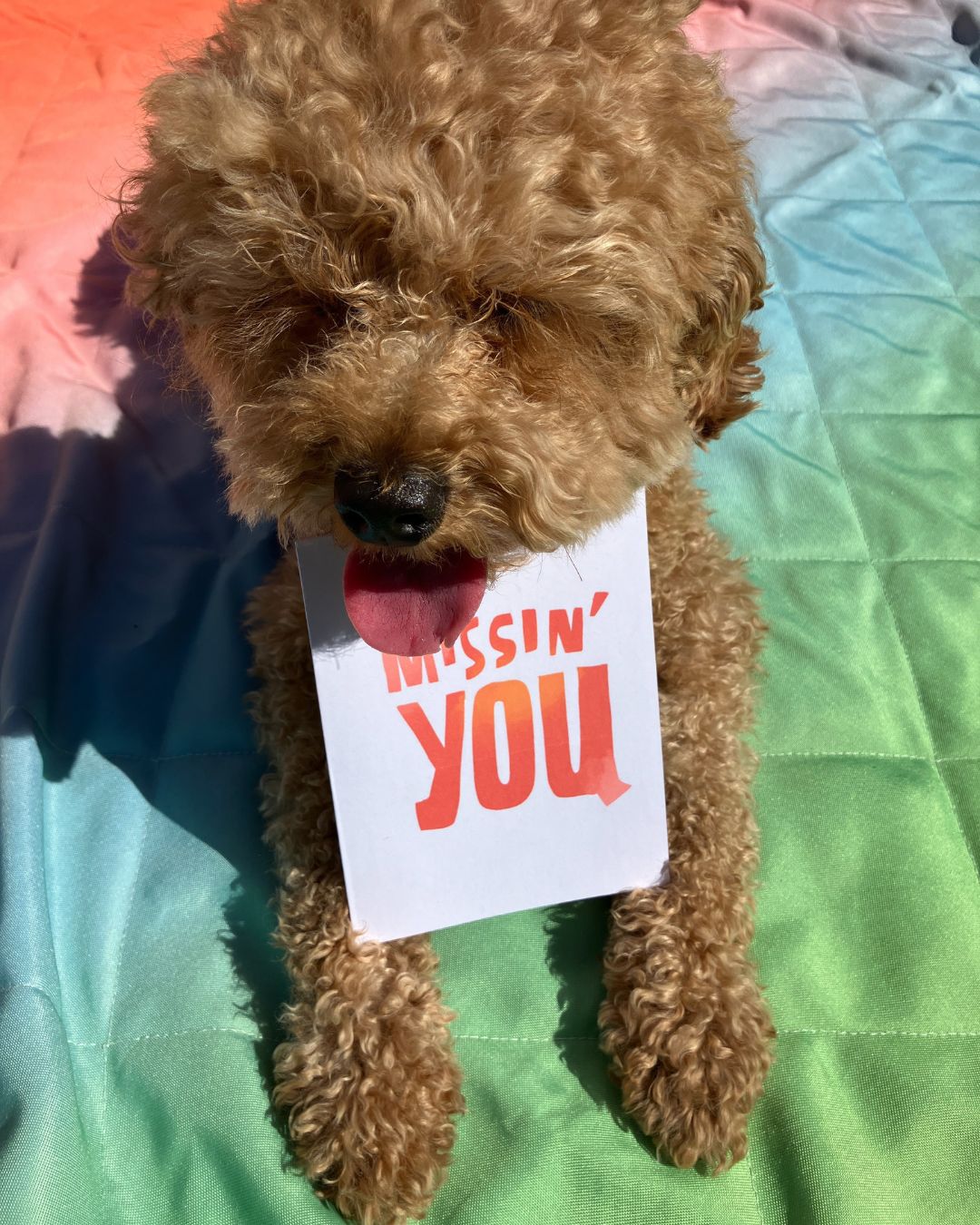 "Missin' You" Greeting Card